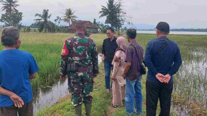 Bupati Ciamis, Herdiat Sunarya meninjau langsung warga yang terdampak banjir di 14 desa di Kecamatan Purwadadi dan juga Lakbok