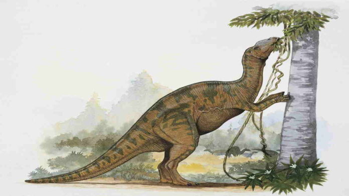 Dinosaurus Berparuh Bebek Adalah Hadrosaurus yang Herbivora