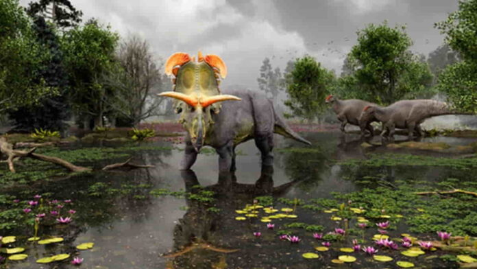 Dinosaurus Bertanduk Lokiceratops, Jumbai Mirip Burung Merak