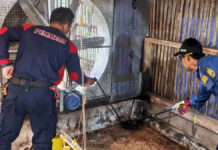 Hendak Memangsa Ayam, Ular Kobra Ditangkap dari Kandang Ayam Warga Jalatrang Ciamis