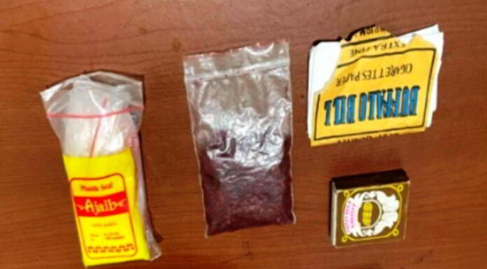 Membawa Ganja Sintetis