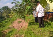 Longsor ancam sejumlah fasilitas umum di Pamarican Ciamis