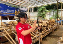 menjual hewan kurban melalui media sosial