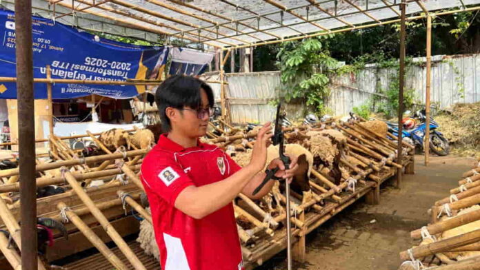 menjual hewan kurban melalui media sosial