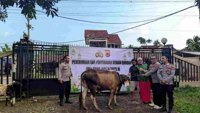 Hewan Kurban untuk Masyarakat