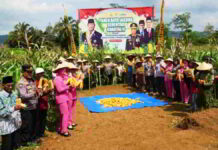 Polres Tasikmalaya Panen Jagung