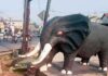 Sejarah Leuwigajah Cimahi dan Kaitannya dengan Sultan Palembang