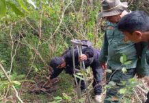 Macan tutul tewas di Garut
