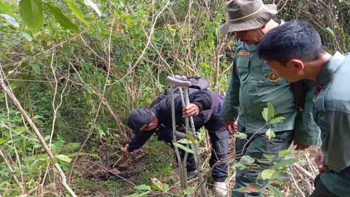 Macan tutul tewas di Garut
