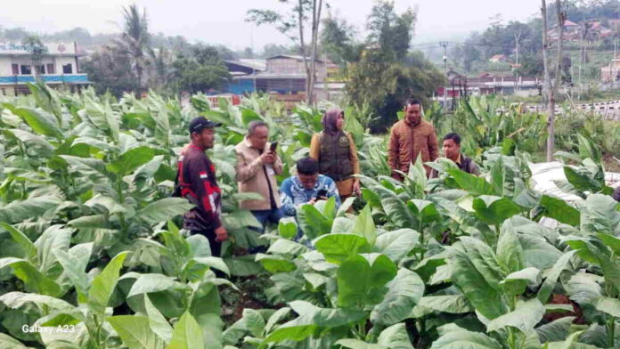 UPTD Agrobisnis Sumedang Fokus Salurkan Dana Pajak Rokok ke Petani untuk Saprodi