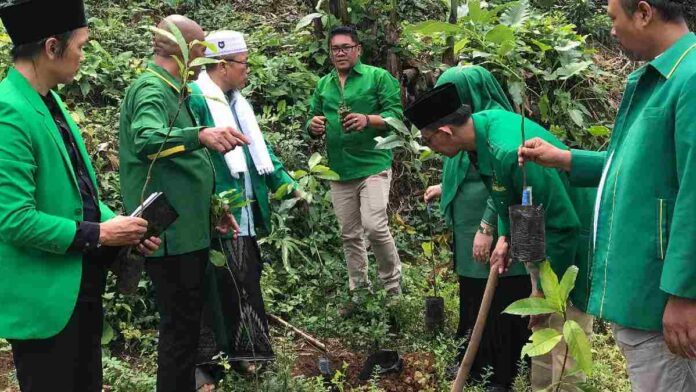 Anggota DPRD Ciamis Fraksi PPP Tanam Pohon di Pesantren, Wujud Kepedulian pada Lingkungan
