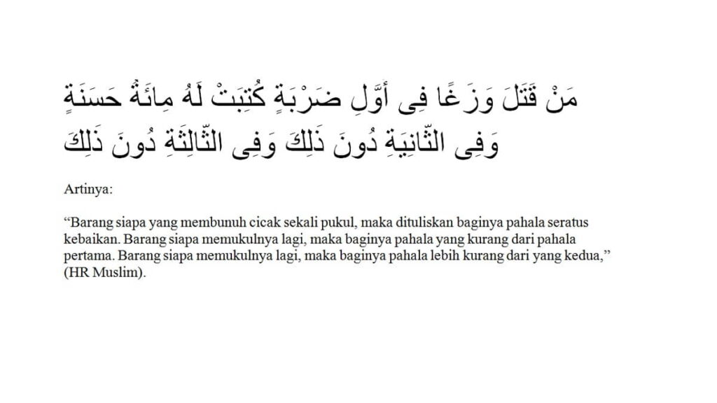 Hadits Membunuh Cicak, Alasan dan Keutamaannya