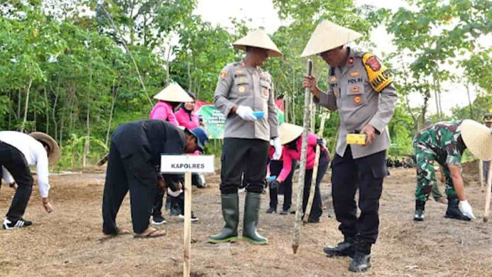 Kompak, Polisi dan Petani Tanam Jagung di Lahan Perhutanan Sosial Pangandaran