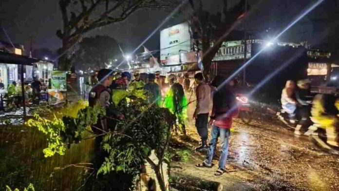 Pohon Trembesi Berukuran Besar Tumbang Diseruduk Truk di Tasikmalaya