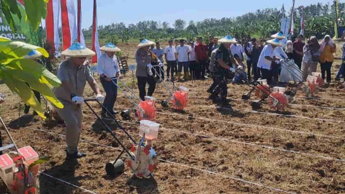 Polda Jabar Tanam Jagung Serentak di Sumedang, Targetkan 1 Juta Ton untuk Dukung Ketahanan Pangan Nasional