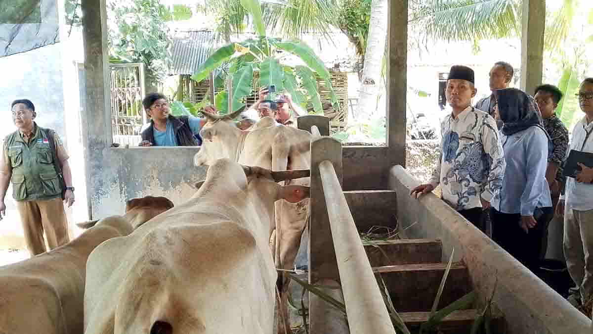 Bantuan Bibit Ternak DKPP Jabar Mendorong Pertumbuhan Ekonomi Peternak di Pangandaran