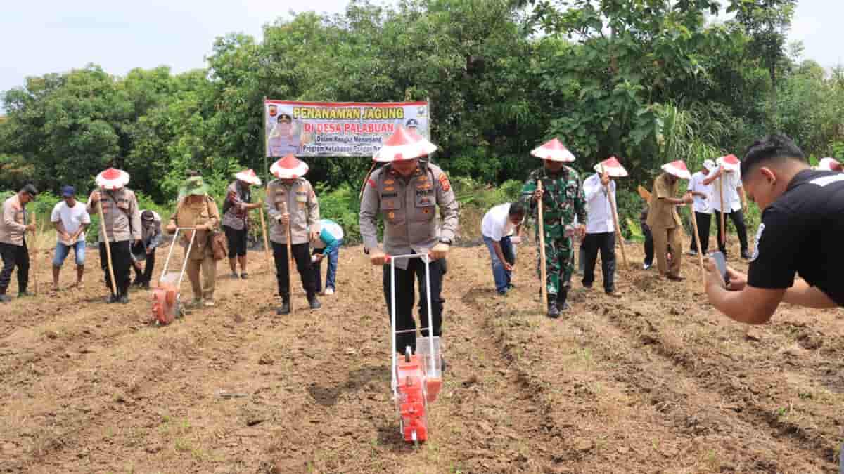 Polres Sumedang Menanam Jagung di Lahan Seluas 6 Hektar sebagai Bentuk Dukungan terhadap Ketahanan Pangan