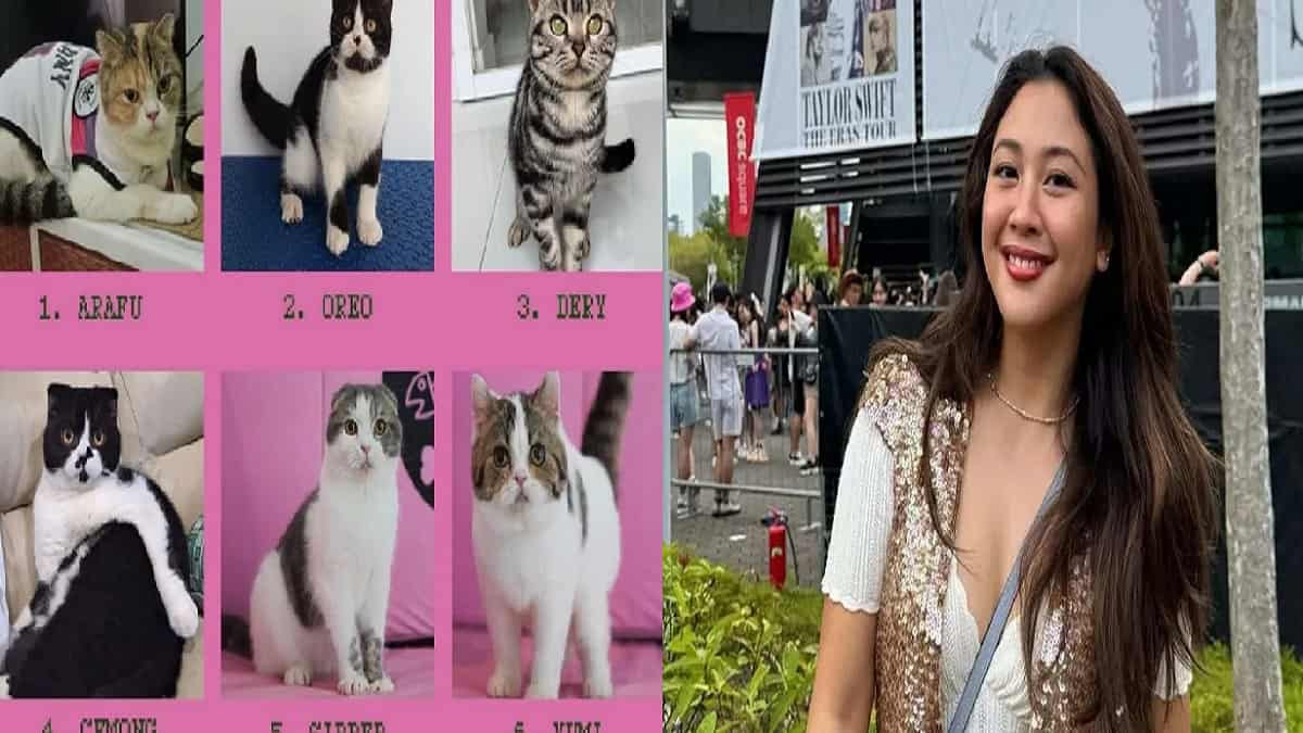 Kasus Kucing Uya Kuya Berlanjut, Sherina Munaf Masuk Dalam Daftar Penyidikan Polisi