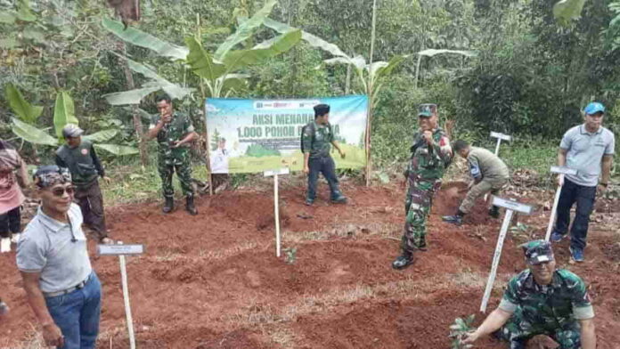 Percantik Kawasan Wisata Puncak Pagerbatu, Pemdes Batulawang Kota Banjar Tanam 1000 Pohon Kopi 
