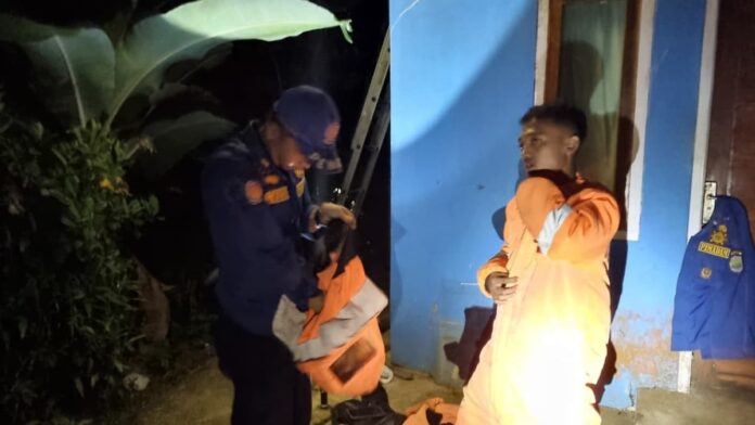 Takut Membahayakan, Damkar Ciamis Evakuasi Sarang Tawon Vespa di Rumah Warga